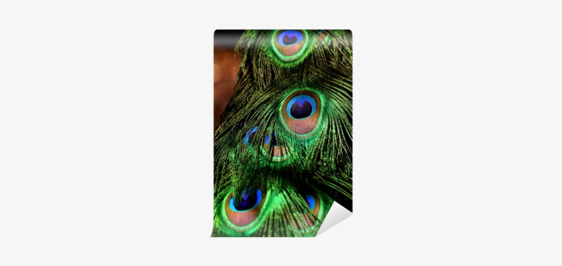 Fractal Art, transparent png