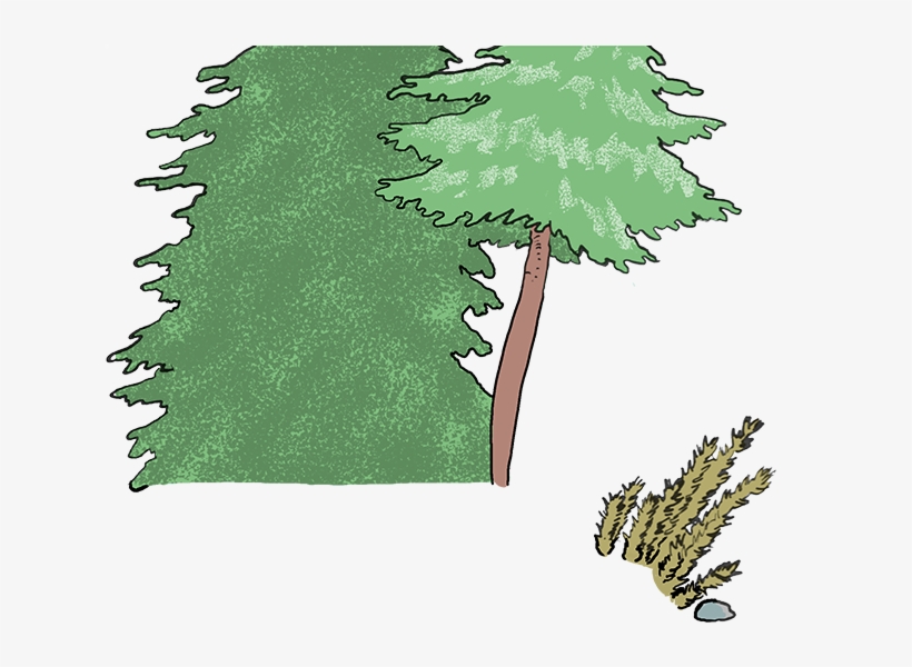 The Paleozoic - Christmas Tree, transparent png