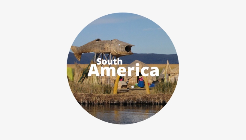 South America Circle - Freshwater Marsh, transparent png