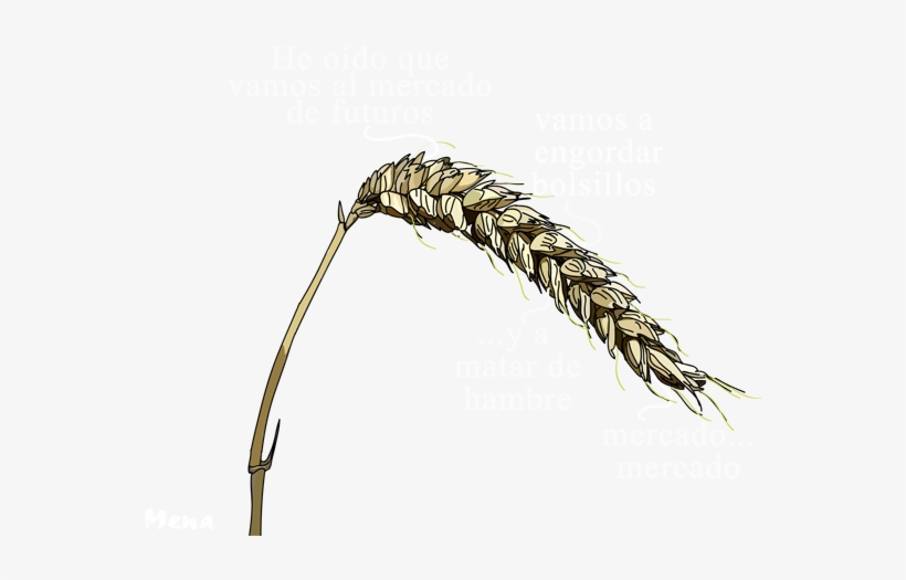 Metafísica Del Trigo - Sweet Grass, transparent png