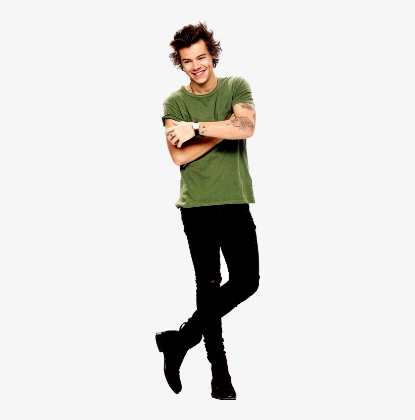 I Love Harry Styles - Harry Styles Transparent Png, transparent png