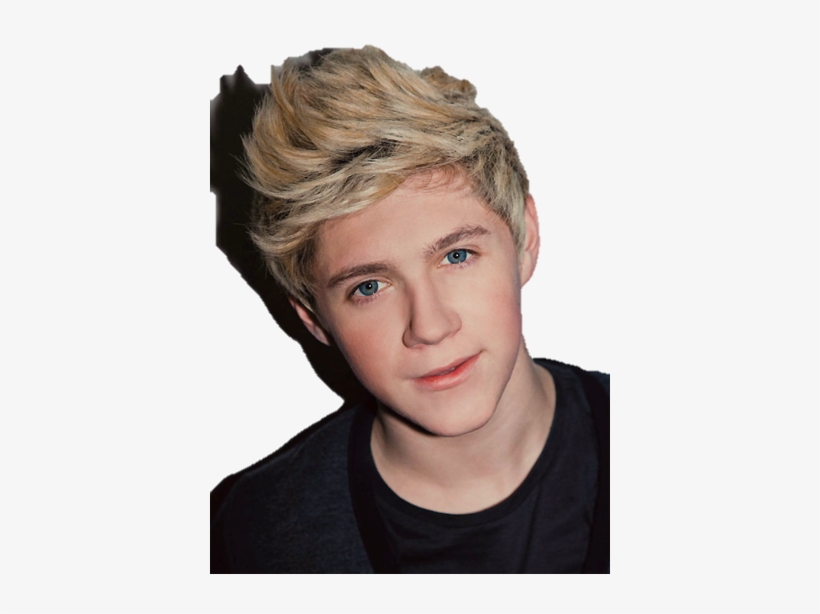 James Horan - One Direction Niall 2014, transparent png