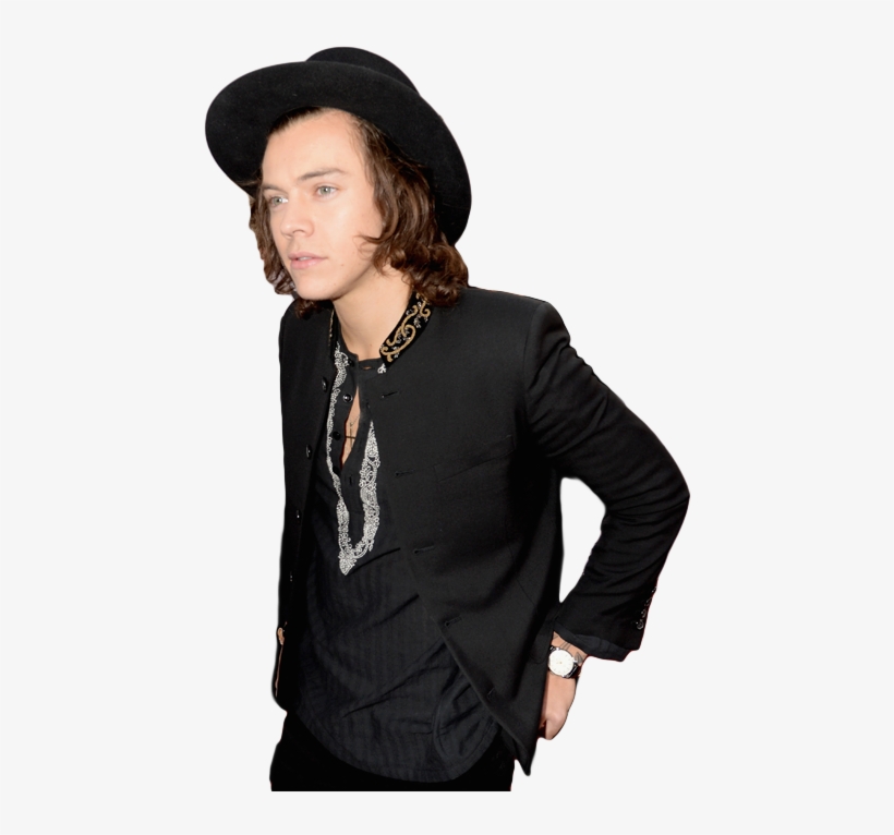 Harry Styles Png By Kosmos52-d8c45x6 - Harry Styles No Background, transparent png