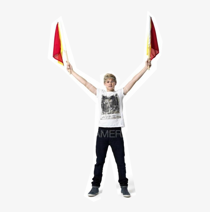 ¡niall Horan Totalmente Formato Png - Glider, transparent png