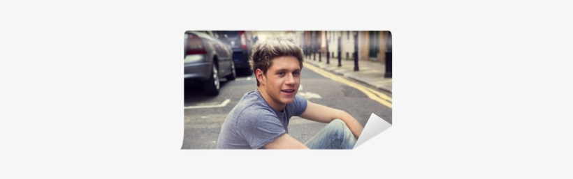 Niall Horan, transparent png