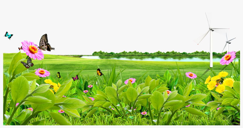 Meadow Lawn Wallpaper Lake - Nature Flower Png Background, transparent png