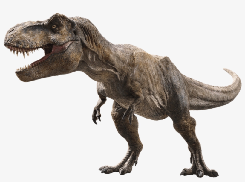 Jurassic World Fallen Kingdom Tyrannosaurus V3 By Sonichedgehog2-dcb00cn - Jurassic World Fallen Kingdom Dinosaurs Png, transparent png