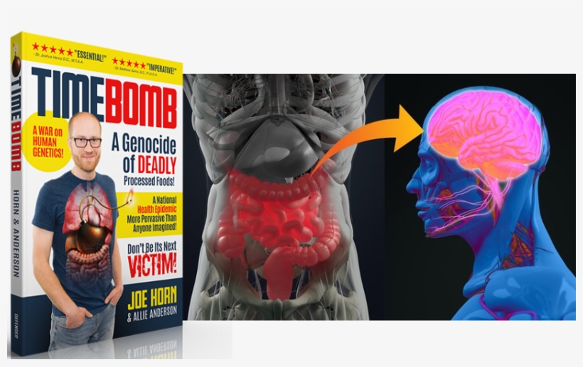If You Had To Guess The Organ That Has Undue Influence - Pit Of The Gut, transparent png