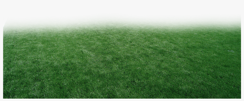 Pasto Y Estadios Png Para Walls - Lawn, transparent png