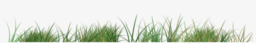 Original Size Is 1400 × 602 Pixels - Linea De Pasto Png, transparent png