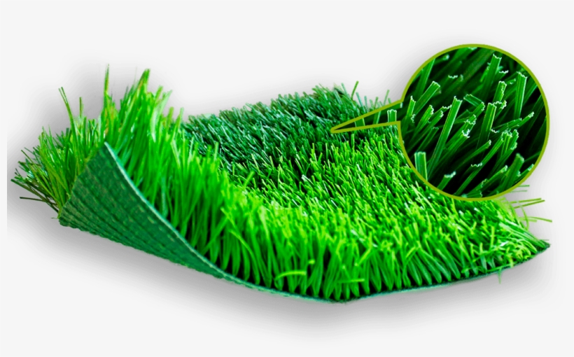 Nosotros - Artificial Turf, transparent png