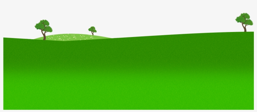 Grass, transparent png