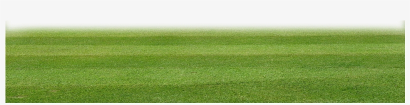 Pasto By Bauti Carp - Lawn, transparent png