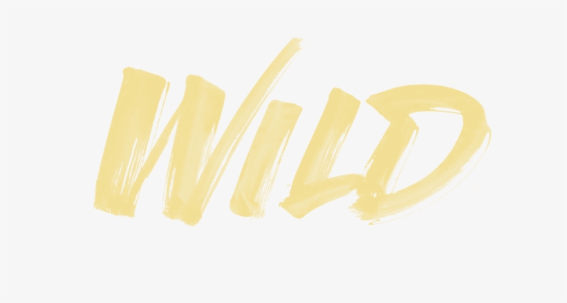 Visit - Troye Sivan Wild Album Art, transparent png