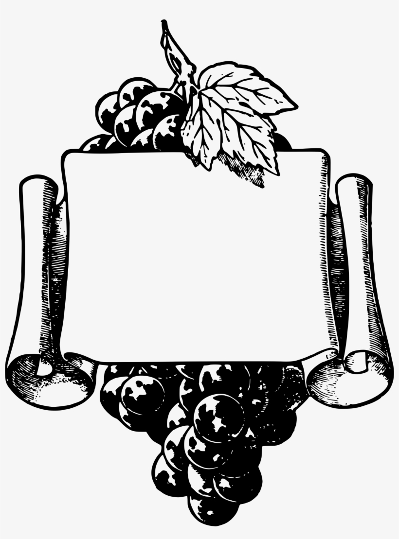 Common Grape Vine Wine Picture Frames Fruit Free Commercial - Grapes Frame, transparent png
