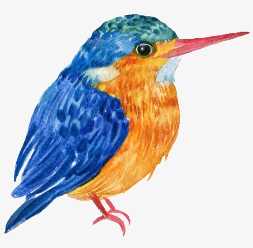 Hand Painted A Blue Bird Png Transparent Material - Portable Network Graphics, transparent png