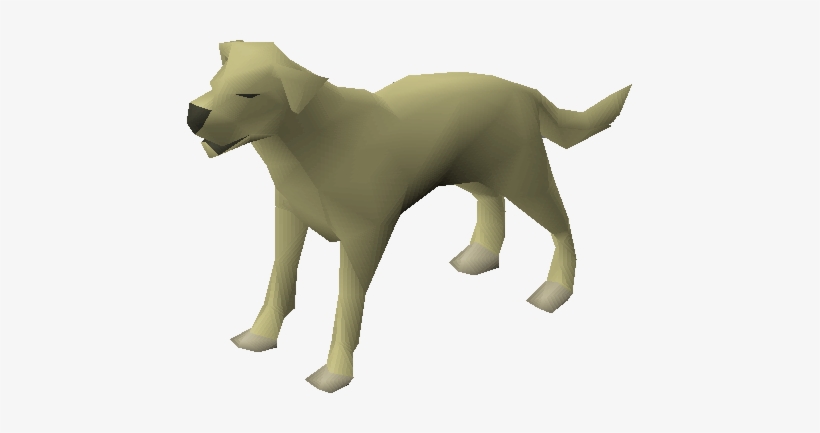 Dog - Wiki, transparent png