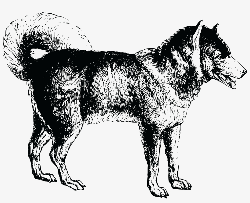 , , - Dog: Adults Coloring Book Vol.4: An Adult Coloring, transparent png
