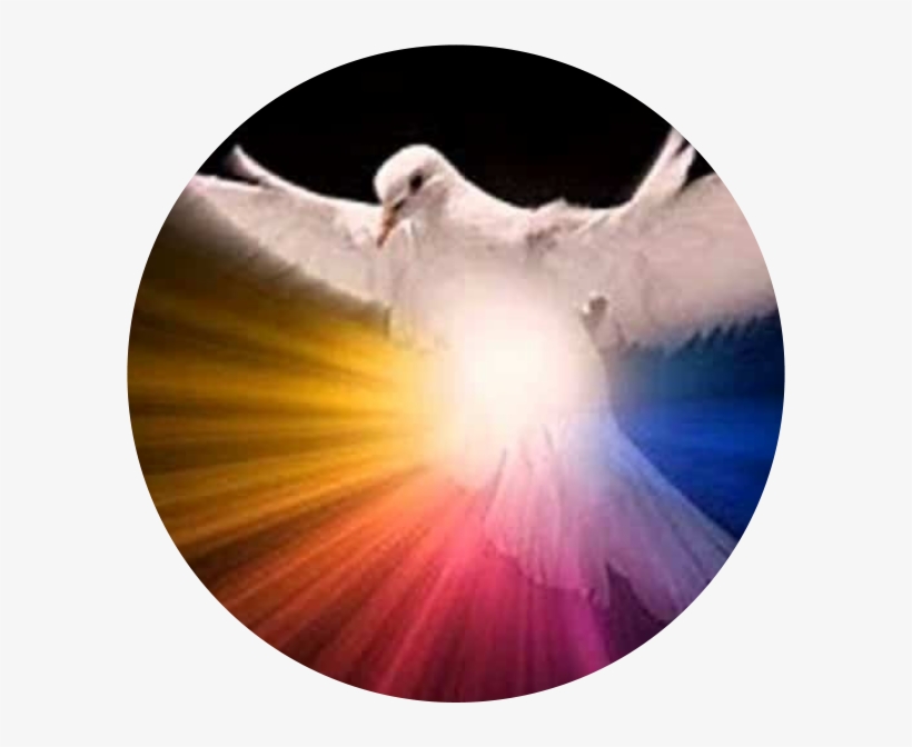 Dios Espiritu Santo - Gli Aspetti Euristici Della Funzione E Dell'identità, transparent png