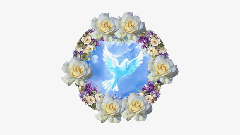 Imagenes Del Espiritu Santo, transparent png
