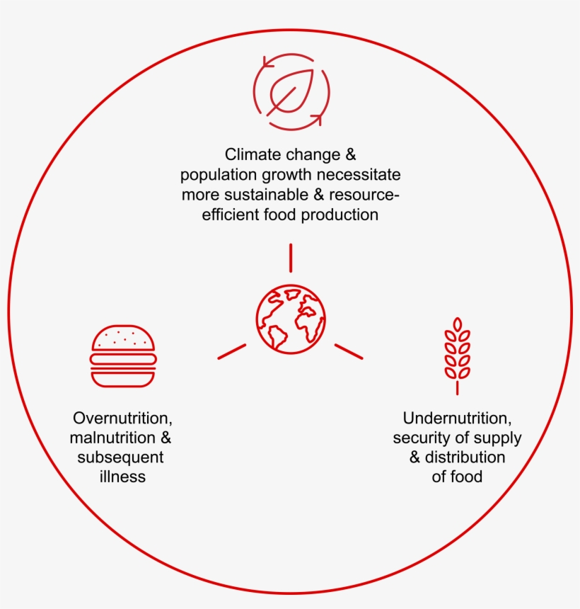 Food Nation Icon Sustainability - Circle, transparent png