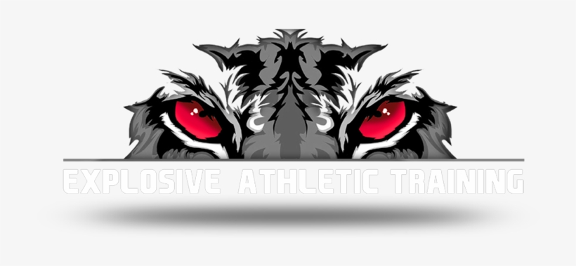 Explosive Athletic Training - Adventure Of The Bengal Tyger: The Napoleon Secret, transparent png