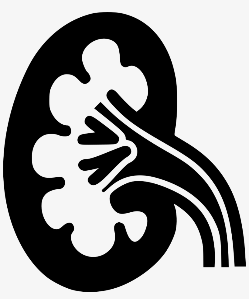Png File Svg - Kidney Png Black, transparent png