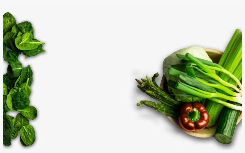 Superb, Fresh Italian Food - Cháo Ăn Dặm Mabu, transparent png