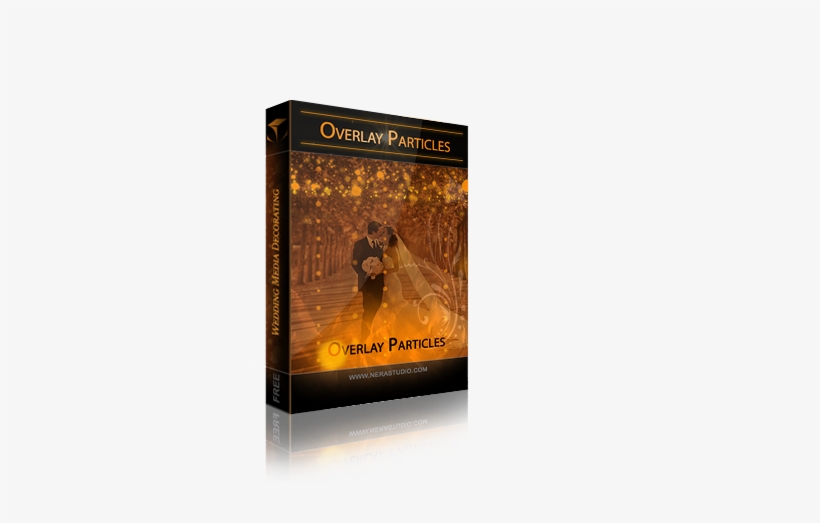 Vector Transparent Download Matte Pack Nera Studio - Particle, transparent png