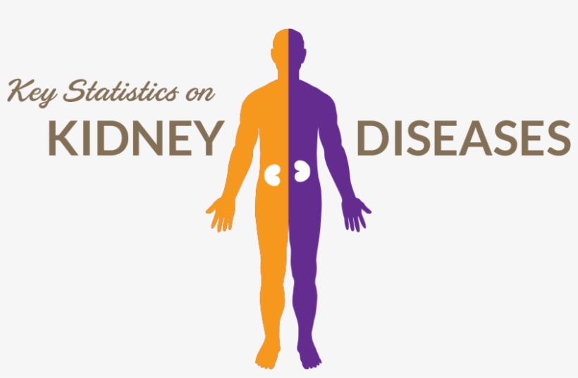 Alarming Global Figures Of Kidney Failure - Statistics Of Dialysis Singapore, transparent png