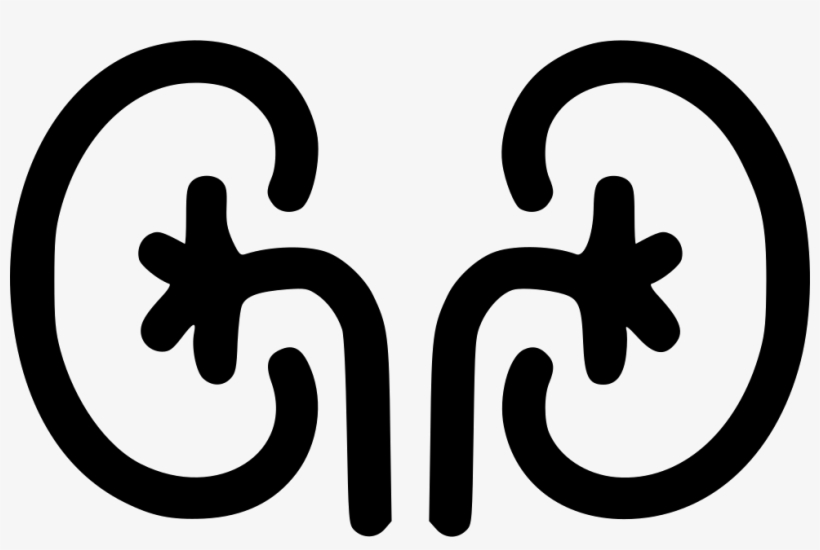 Kidney Comments - Kidney Icon Png, transparent png
