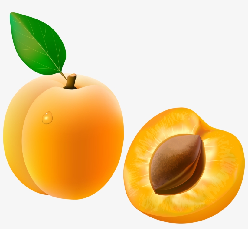 Italian Clipart European Food - Apricot Peach Clip Art - 1600x1397 PNG