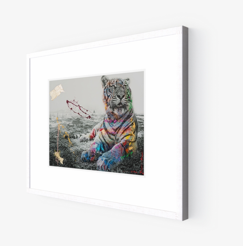 Photo Le Tigre - Photography, transparent png