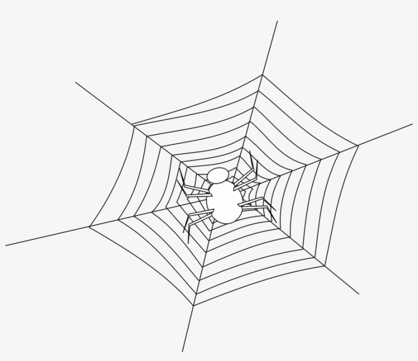Spider Webs Halloween Png, transparent png