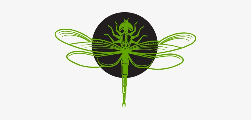 Dragonfly-alone, transparent png