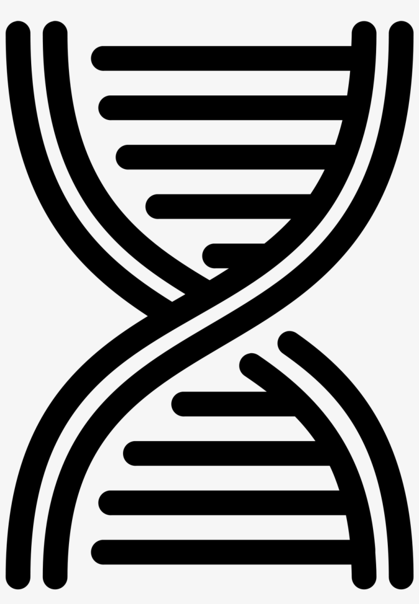 Spirala Dna Icon - Adn Iconos Png, transparent png