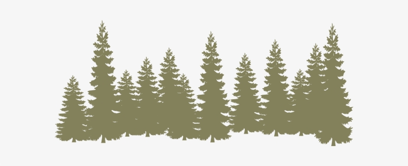 How To Set Use Light Green Forrest Clipart, transparent png