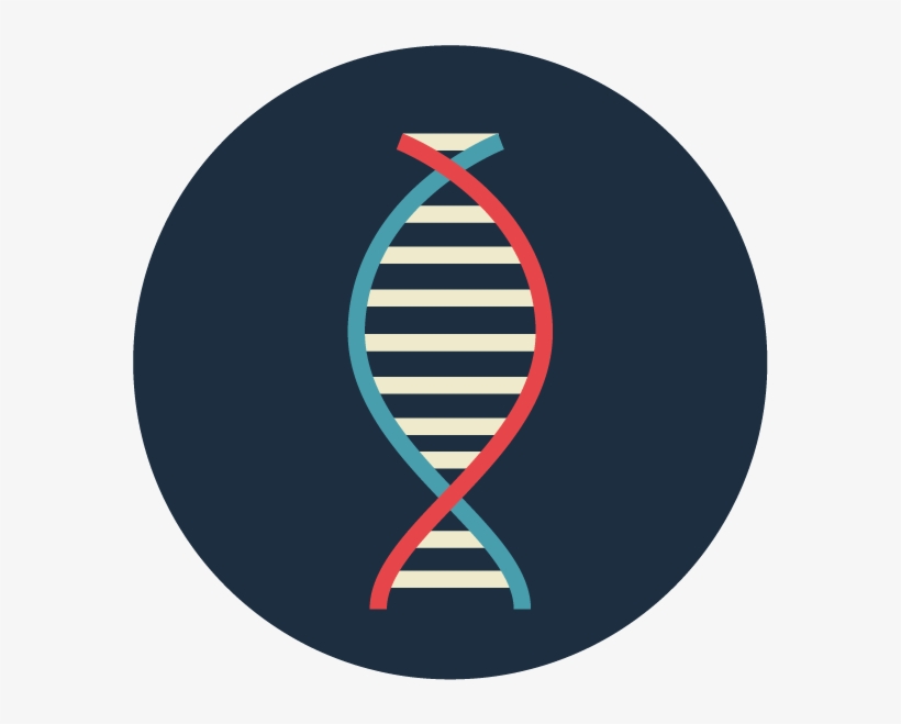 Kim Dna Icon-01, transparent png