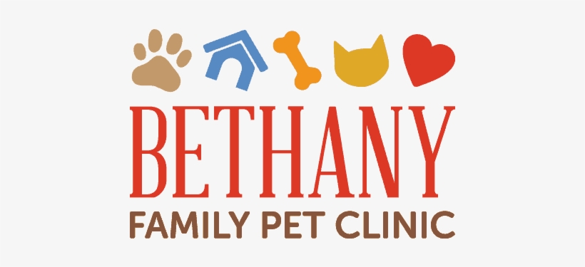 Bethany Family Pet Clinic - Between Two Worlds: How The English Became Americans, transparent png