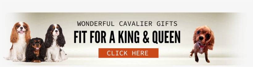 Dog, transparent png