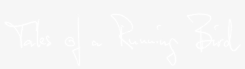 Tales Of A Running Bird - White Background Instagram Size, transparent png