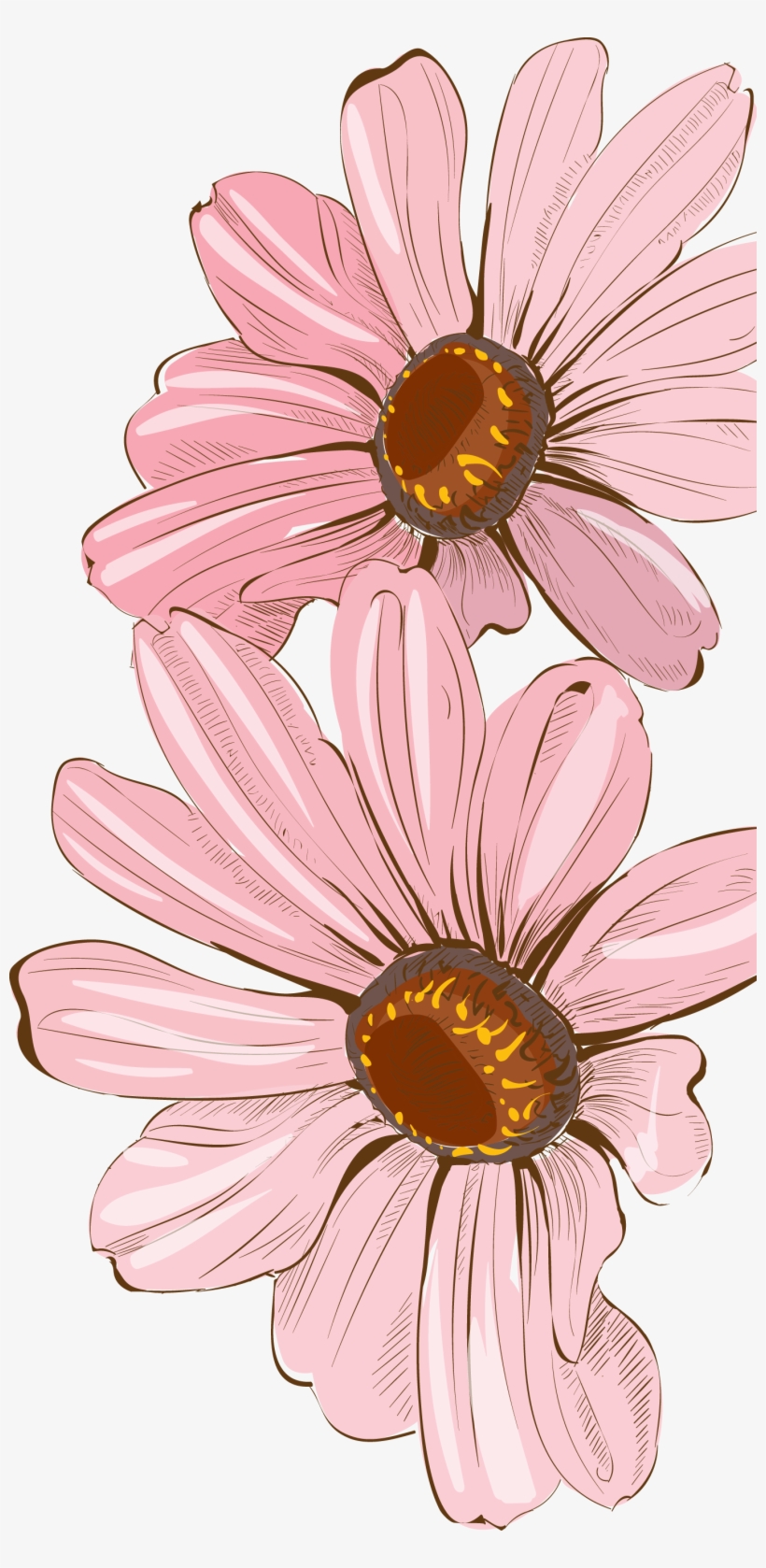 Clip Freeuse Painting Floral Design Fresh Painted Decoration - African Daisy Watercolor, transparent png