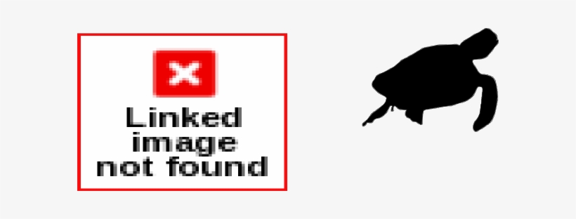 Turtle Dove Clipart Silhouette - German Longhaired Pointer Diamonds Are Basic Tees, transparent png
