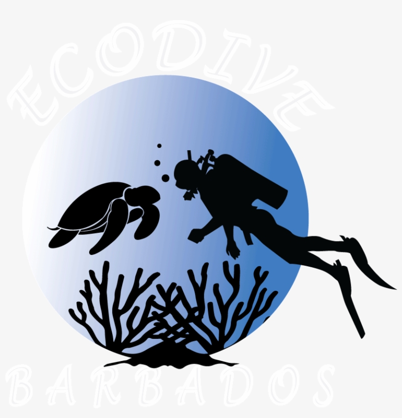 Home - Illustration, transparent png