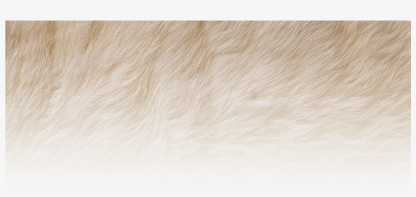 Tales Of Three Hemispheres [book], transparent png