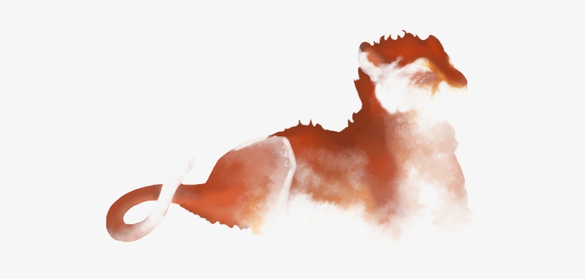 Lion, transparent png
