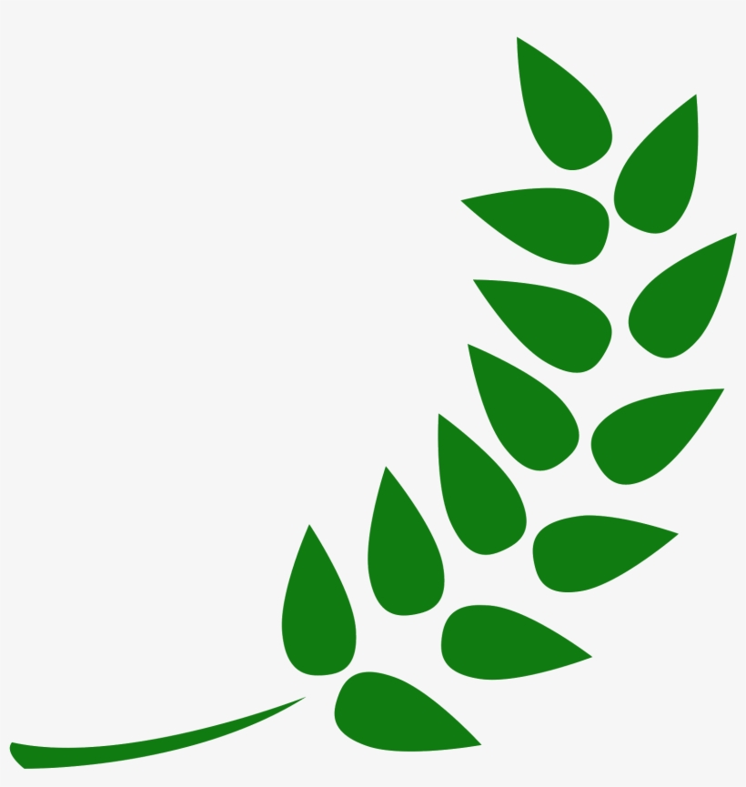 Png Transparent Icon Free Download Png And - Best Italian Beer 2017, transparent png