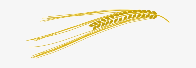 Svg Royalty Free Download Barley Clip Art At Clker - Barley Clip Art, transparent png