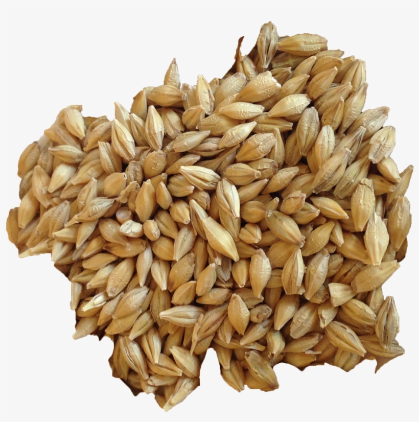 Barley Transparent Background Png - Organic Barley, transparent png