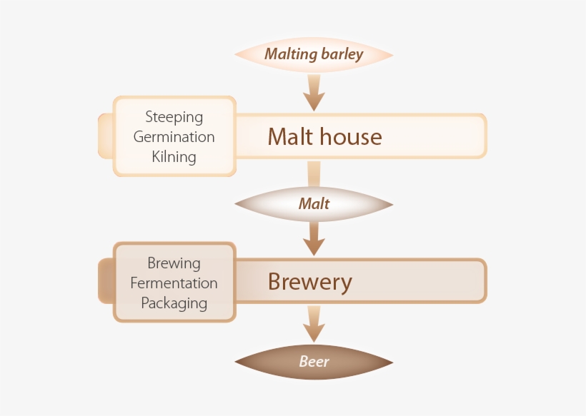 Beer Production Diagram - Graphics, transparent png